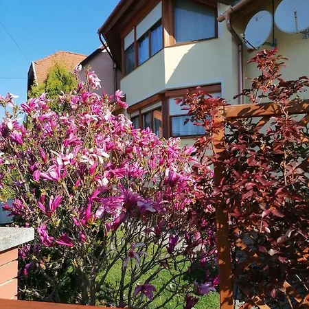 Apartament Marina-buek Apartmanhaz Bük